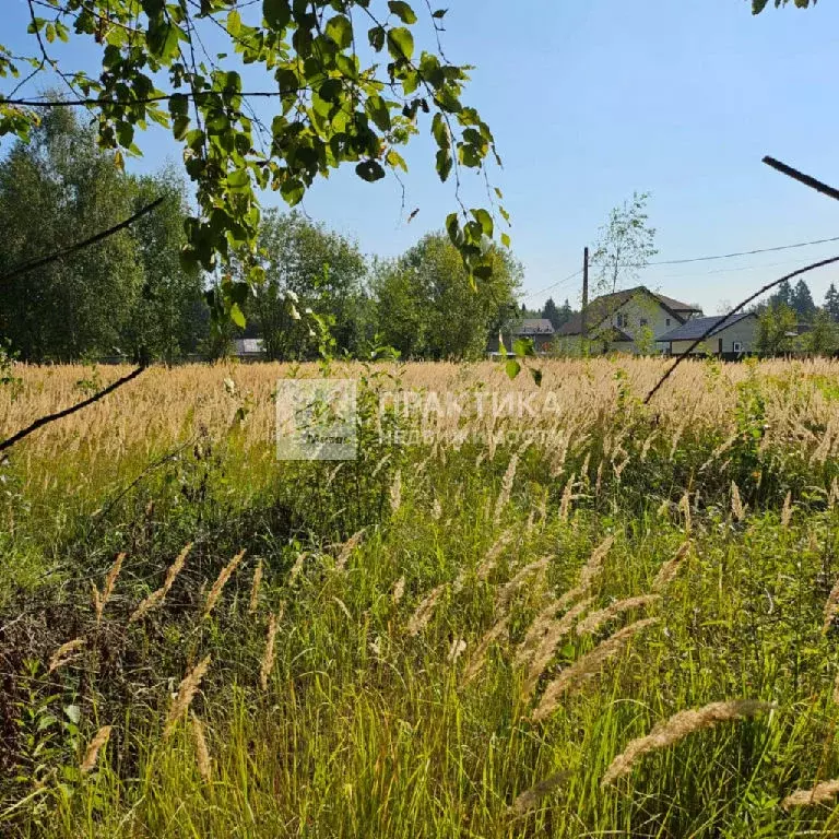 Продается участок в КДЗ Ягодный-Никольское - Фото 1