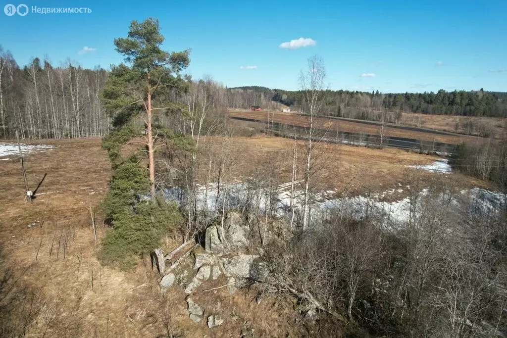 Участок в Республика Карелия, Лахденпохский муниципальный округ, ... - Фото 1