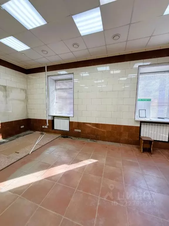 Помещение свободного назначения в Новосибирская область, Новосибирск ... - Фото 1