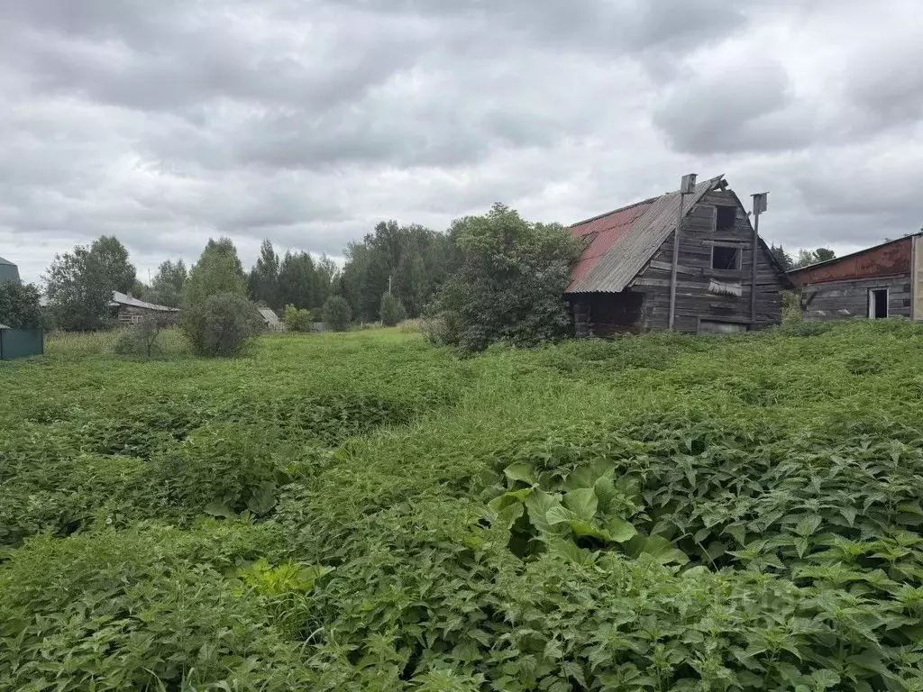 Участок в Томская область, Томский район, д. Казанка Кооперативная ул. ... - Фото 2