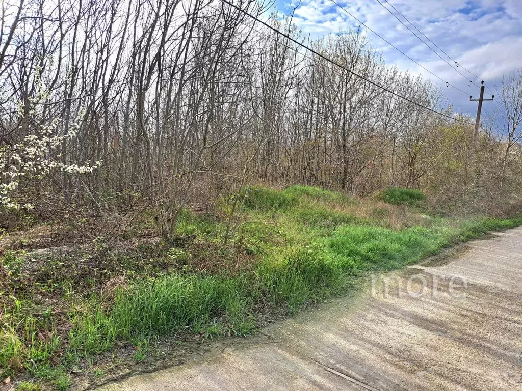 Участок в Краснодарский край, Новороссийск ул. Живописная (25.0 сот.) - Фото 1