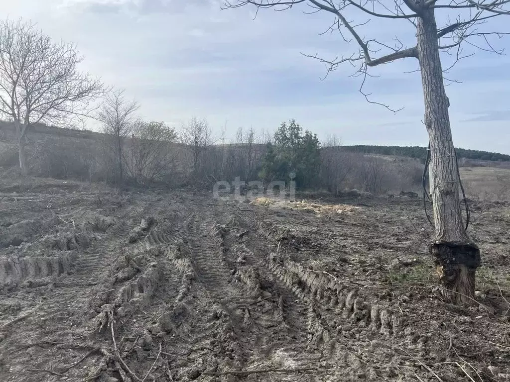 Участок в Крым, Симферопольский район, Трудовское с/пос, с. Денисовка  ... - Фото 0