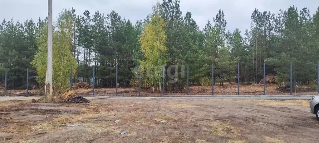 Участок в Воронежская область, Рамонский район, с. Ямное ул. Имени ... - Фото 1