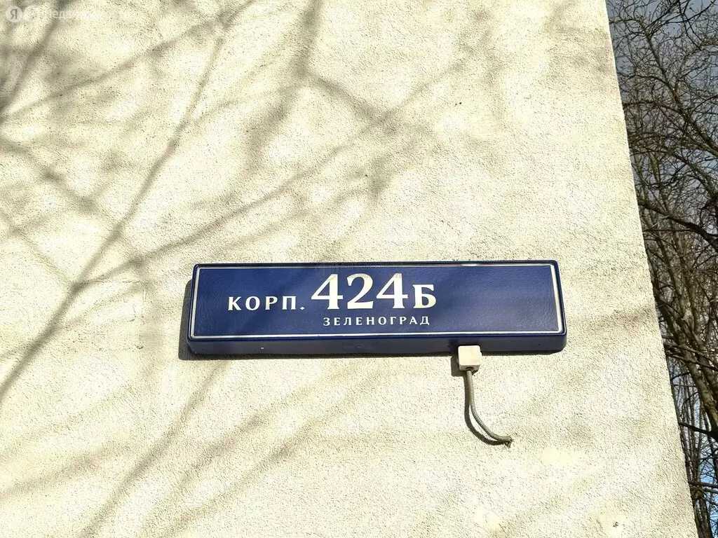 1-комнатная квартира: Зеленоград, 424Б (32.4 м) - Фото 1