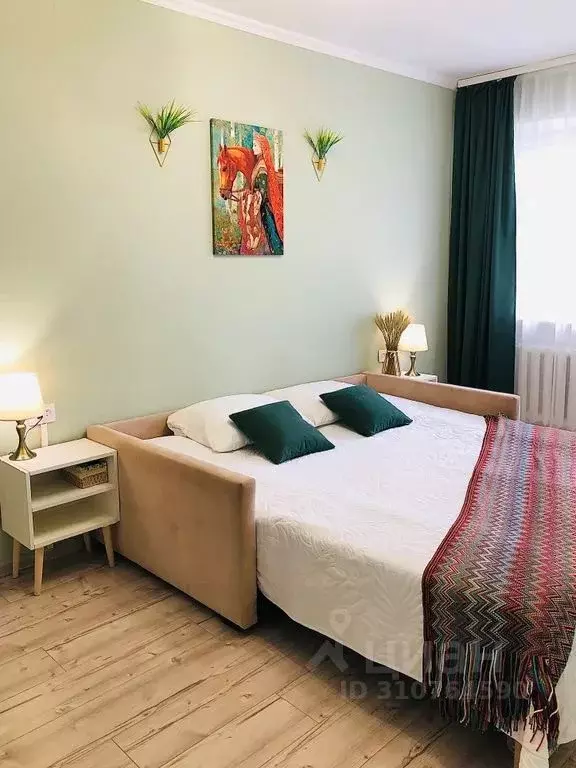 1-к кв. Псковская область, Псков Советская ул., 77А (30.0 м) - Фото 2
