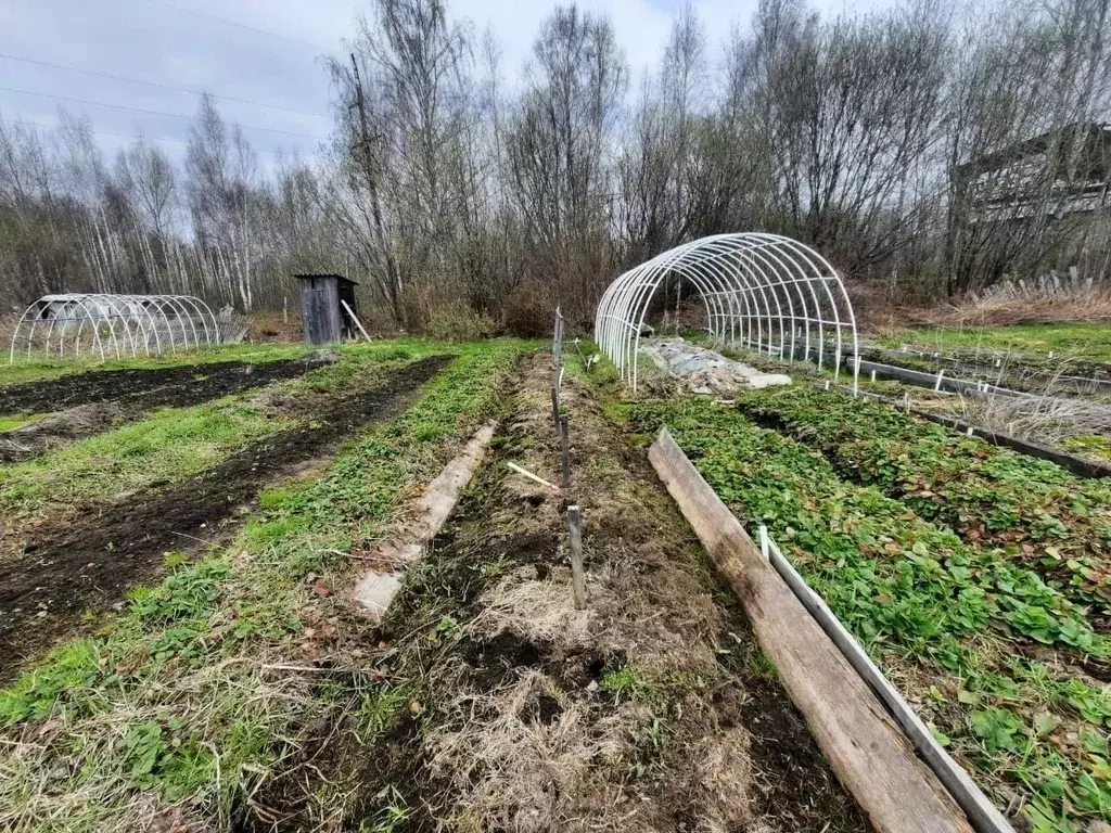 Купить участок Краснокамский район, Пермский край, продажа земельных  участков Краснокамский район, Пермский край недорого на AFY.ru