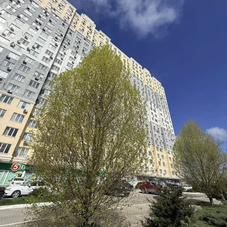 Квартира-студия: Новороссийск, улица Хворостянского, 21 (25.1 м) - Фото 1