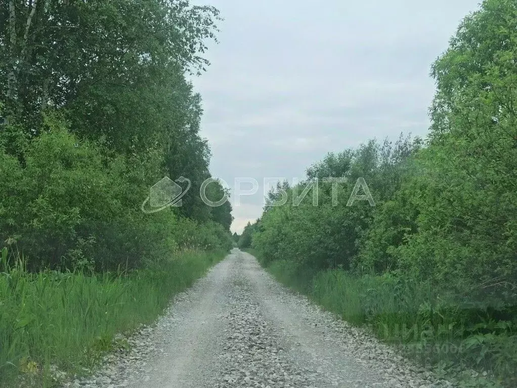 Участок в Тюменская область, Нижнетавдинский муниципальный округ, ... - Фото 1