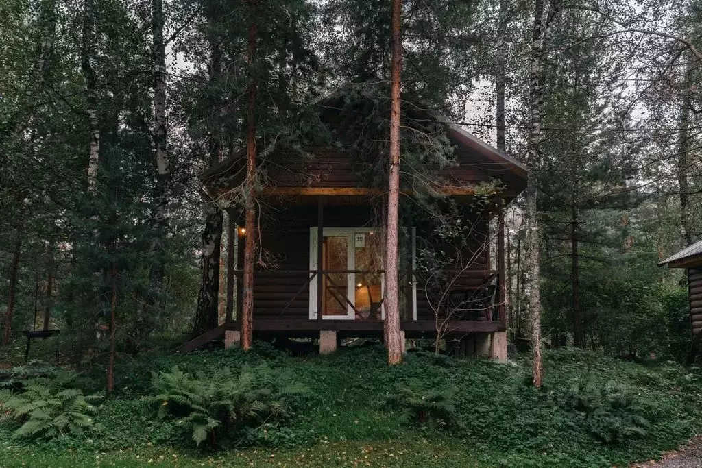 Дом в Алтай, Майминский район Р-256 Чуйский тракт, 469-й км, 1 (25 м) - Фото 1