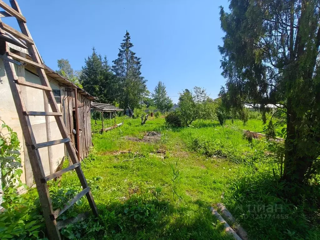 Дом в Новгородская область, Валдай ул. Марии Уткиной, 6 (48 м) - Фото 1