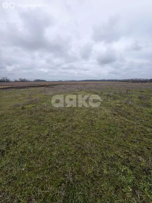 Участок в станица Платнировская, Северная улица (11.56 м) - Фото 1