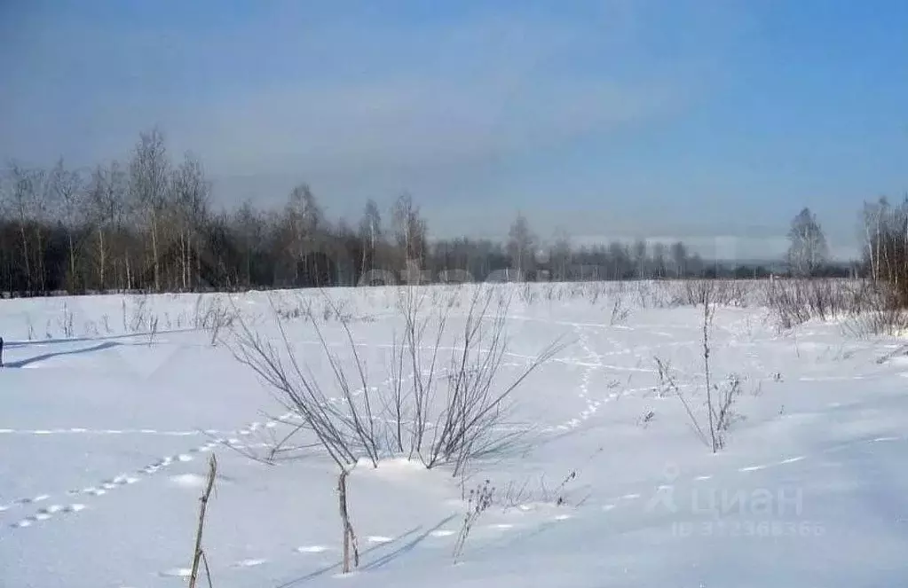 Участок в Татарстан, Верхнеуслонский район, с. Нижний Услон  (12.1 ... - Фото 0