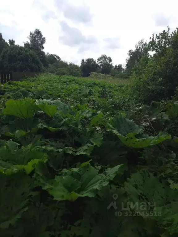 Участок в Московская область, Можайский муниципальный округ, д. ... - Фото 2