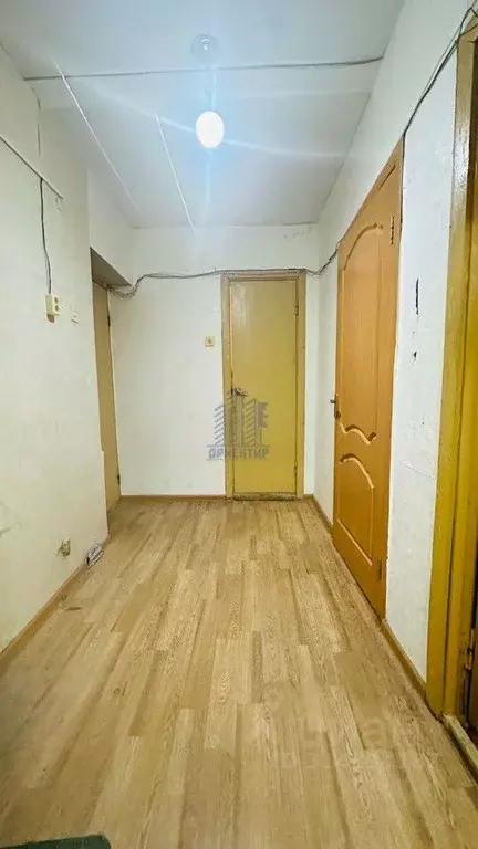Студия Чувашия, Чебоксары ул. Эльменя, 15 (36.0 м) - Фото 1