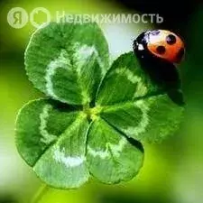 Участок в станица Северская, Ильская улица, 33 (13 м) - Фото 1