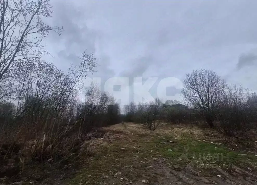 Участок в Московская область, Воскресенск городской округ, д. ... - Фото 2