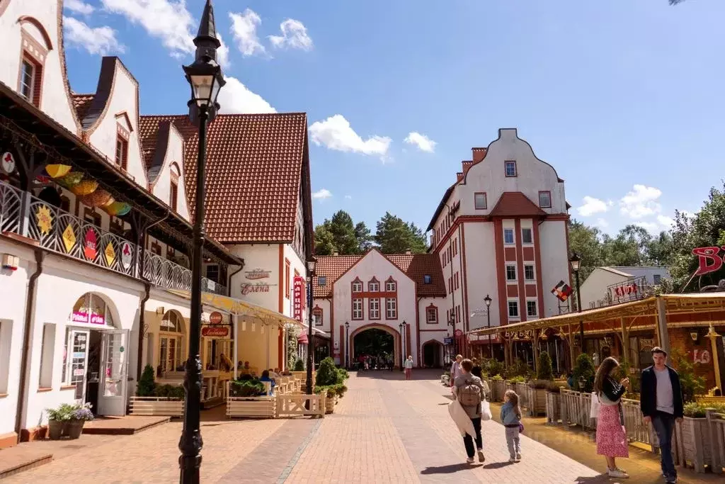 Комната Калининградская область, Светлогорск Центральная пл., 1 - Фото 0