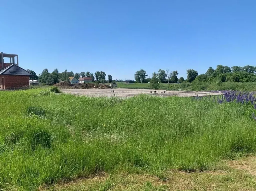 Участок в Калининградская область, Зеленоградский муниципальный округ, ... - Фото 1