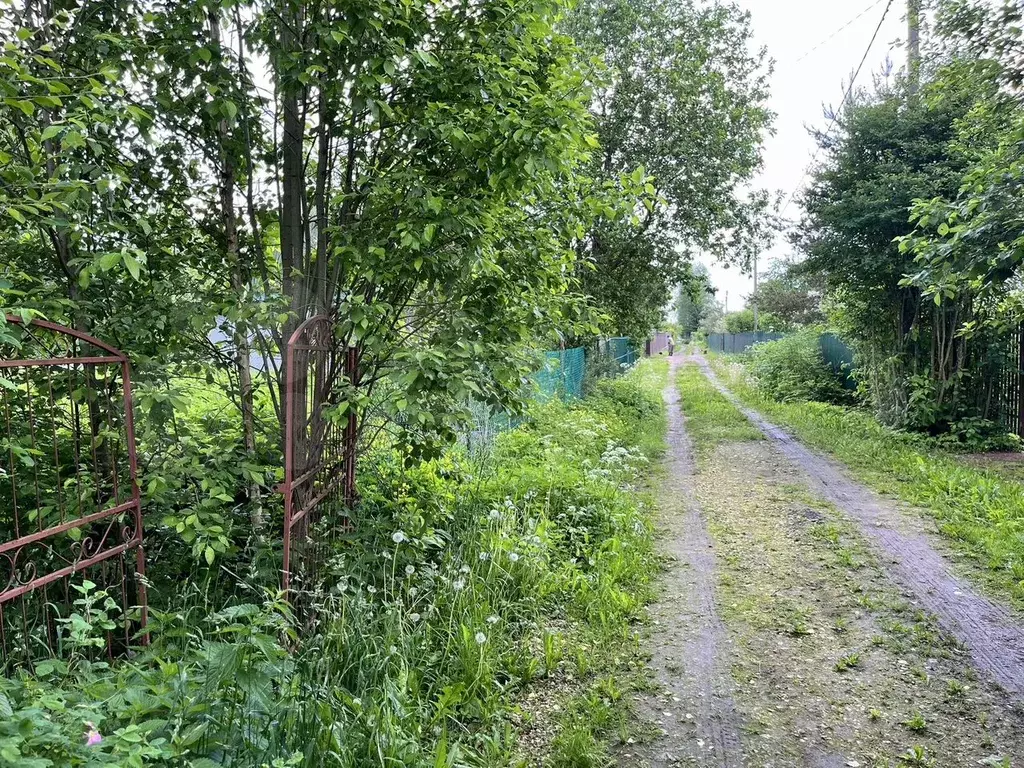 Участок 7,8 сот. (ИЖС) - Фото 1