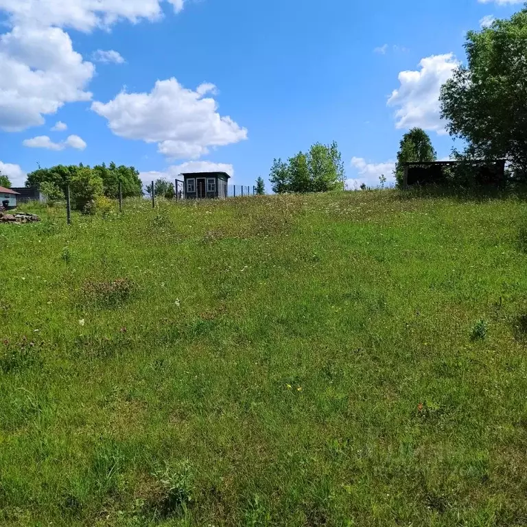Участок в Московская область, Коломна городской округ, с. Фроловское  ... - Фото 2