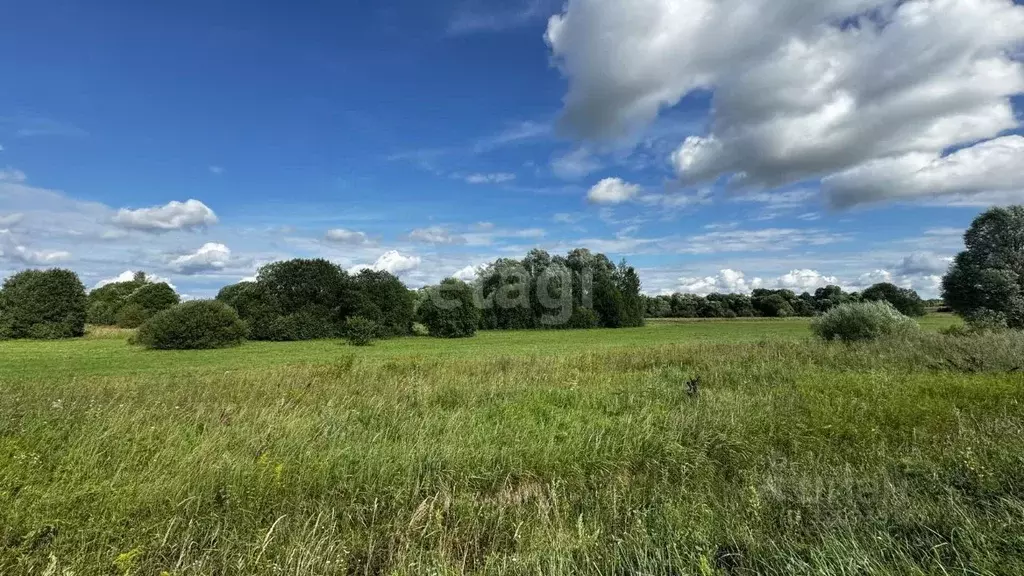 Участок в Калужская область, Бабынинский муниципальный округ, ... - Фото 1