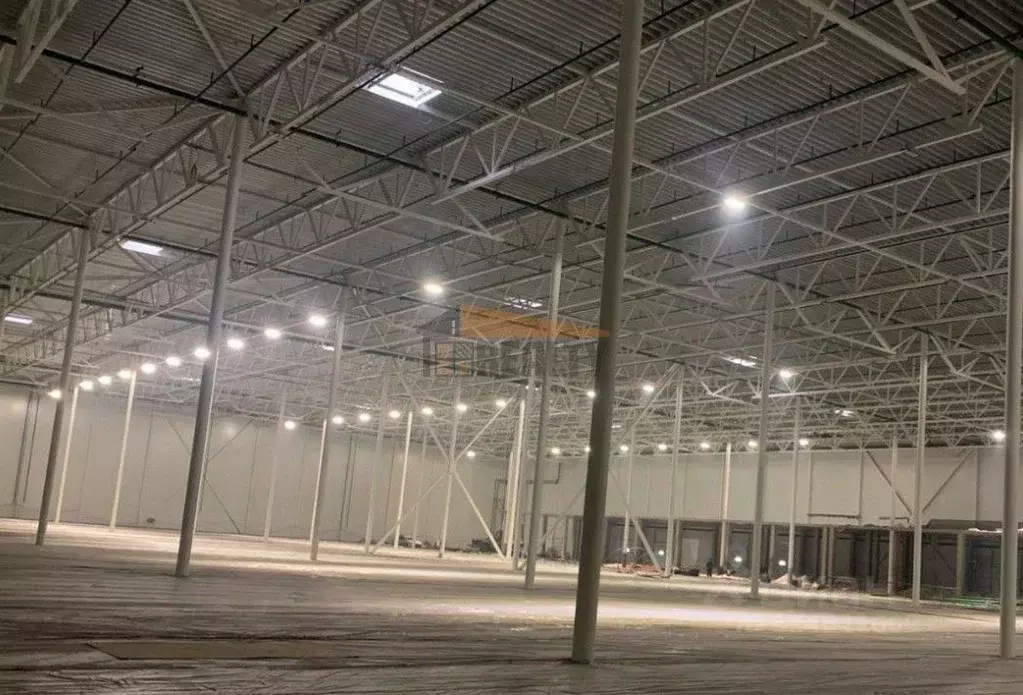 Производственное помещение в Московская область, Богородский городской ... - Фото 1