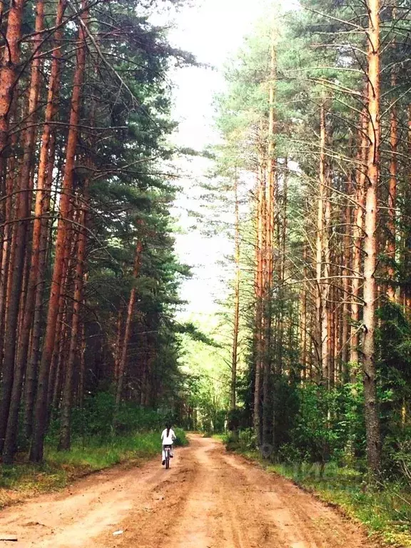 Дом в Псковская область, Куньинский район, Каськовская волость, д. ... - Фото 2