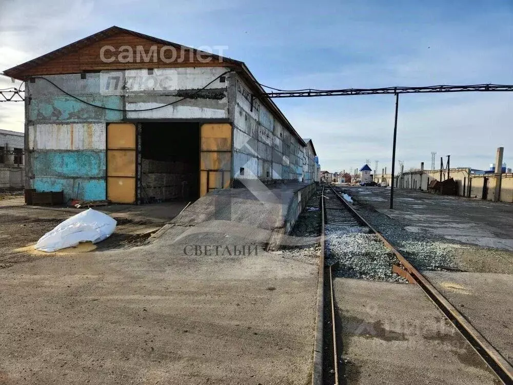 Склад в Алтайский край, Барнаул ул. Малахова, 1Ж (6500 м) - Фото 2