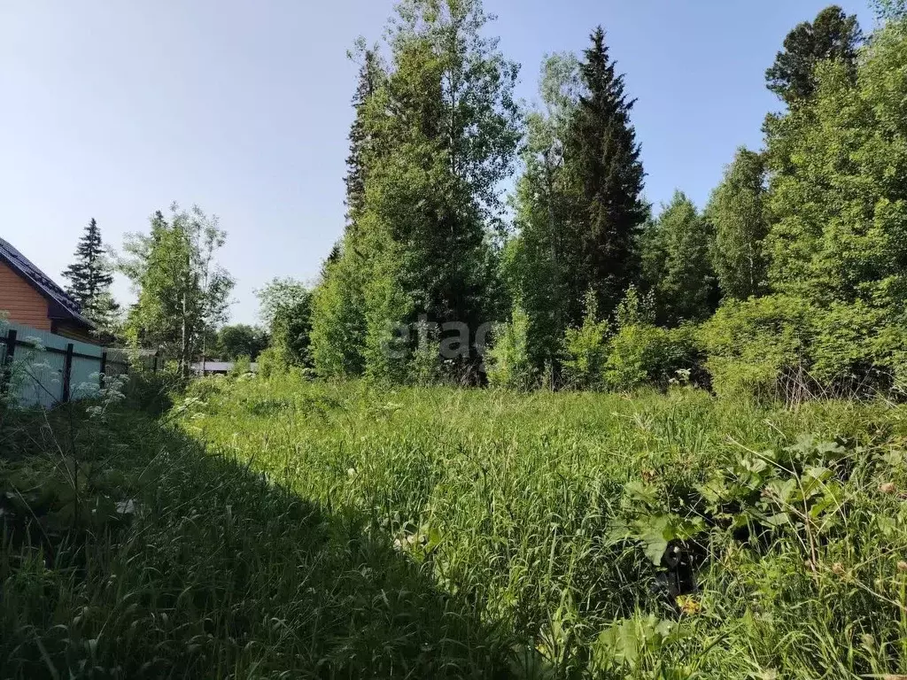 Участок в Томская область, Томский район, д. Кандинка ул. Сибирская ... - Фото 0