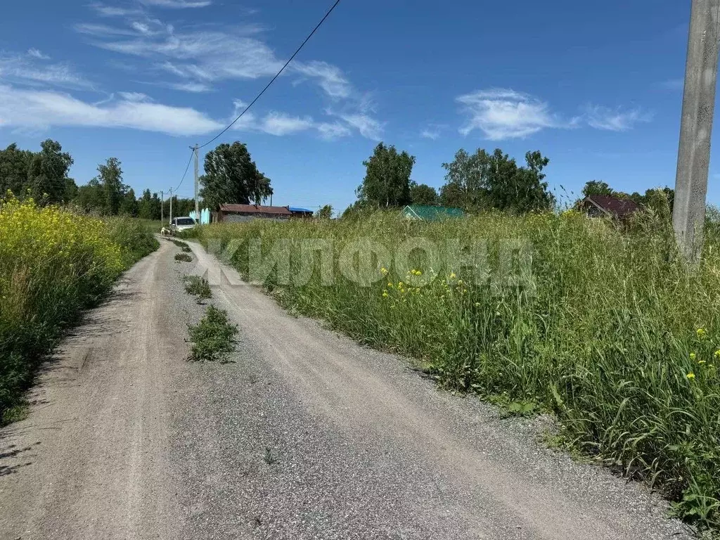 Участок в Новосибирская область, Новосибирский район, Верх-Тулинский ... - Фото 1