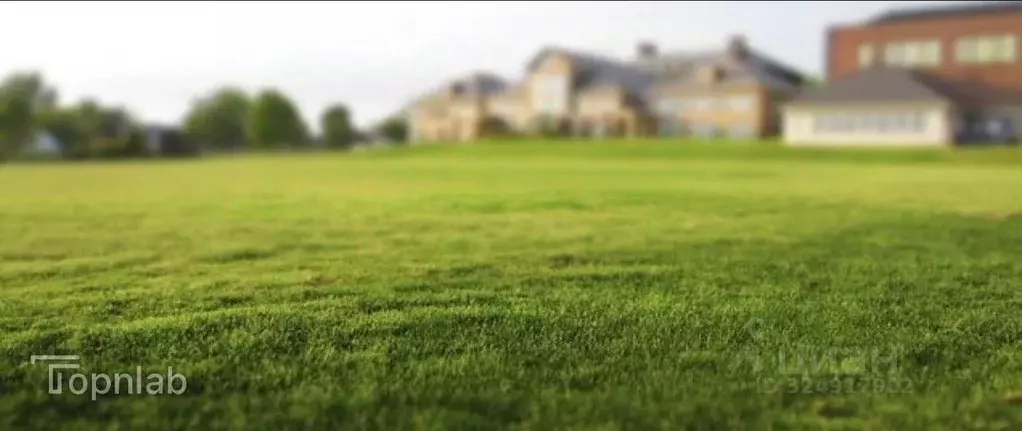 Участок в Ростовская область, Азовский район, Новоалександровское ... - Фото 1