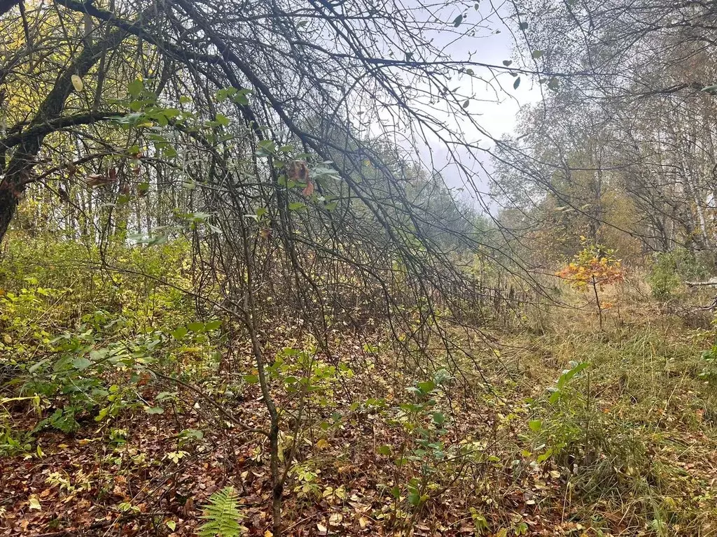 Дом в Московская область, Волоколамский муниципальный округ, д. ... - Фото 1