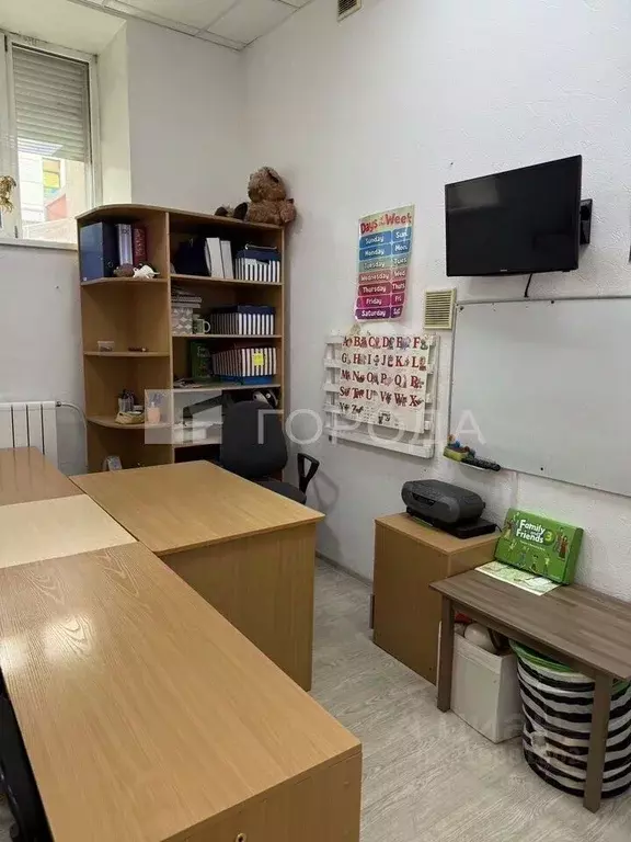 Помещение свободного назначения в Новосибирская область, Новосибирск ... - Фото 1