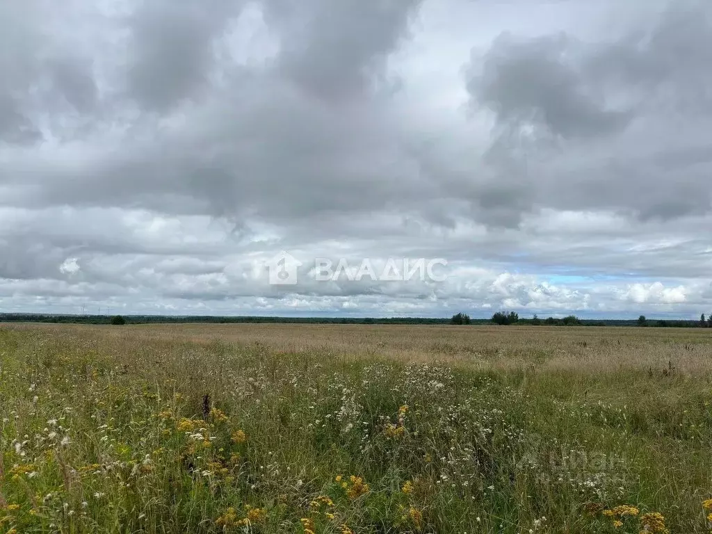 Участок в Ивановская область, Приволжский район, Плесское городское ... - Фото 0