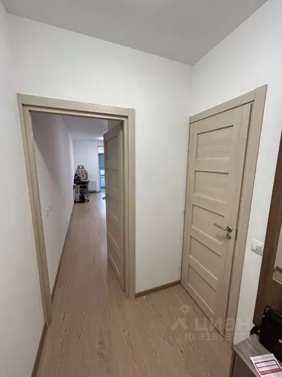 Студия Санкт-Петербург ул. Летчика Лихолетова, 14к2 (25.0 м) - Фото 1