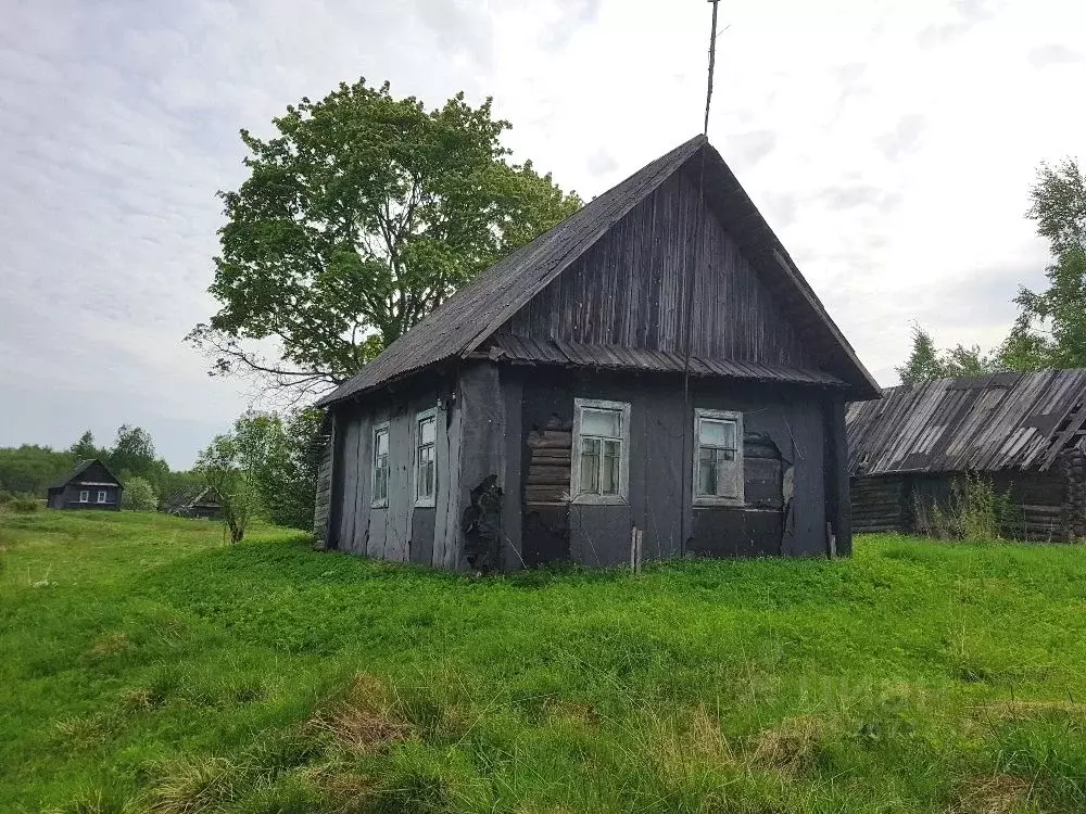 Дом в Тверская область, Торопецкий район, д. Добшо  (40 м) - Фото 1