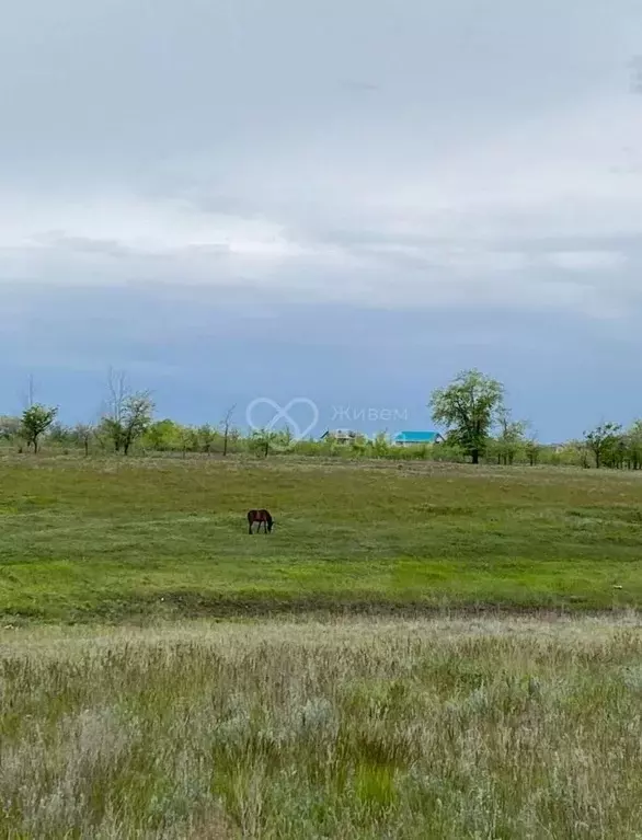 Участок в Волгоградская область, Волгоград ул. Яхтенная (7.5 сот.) - Фото 1