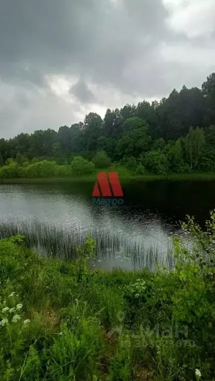 Купить Дом В Пазушино Ярославль