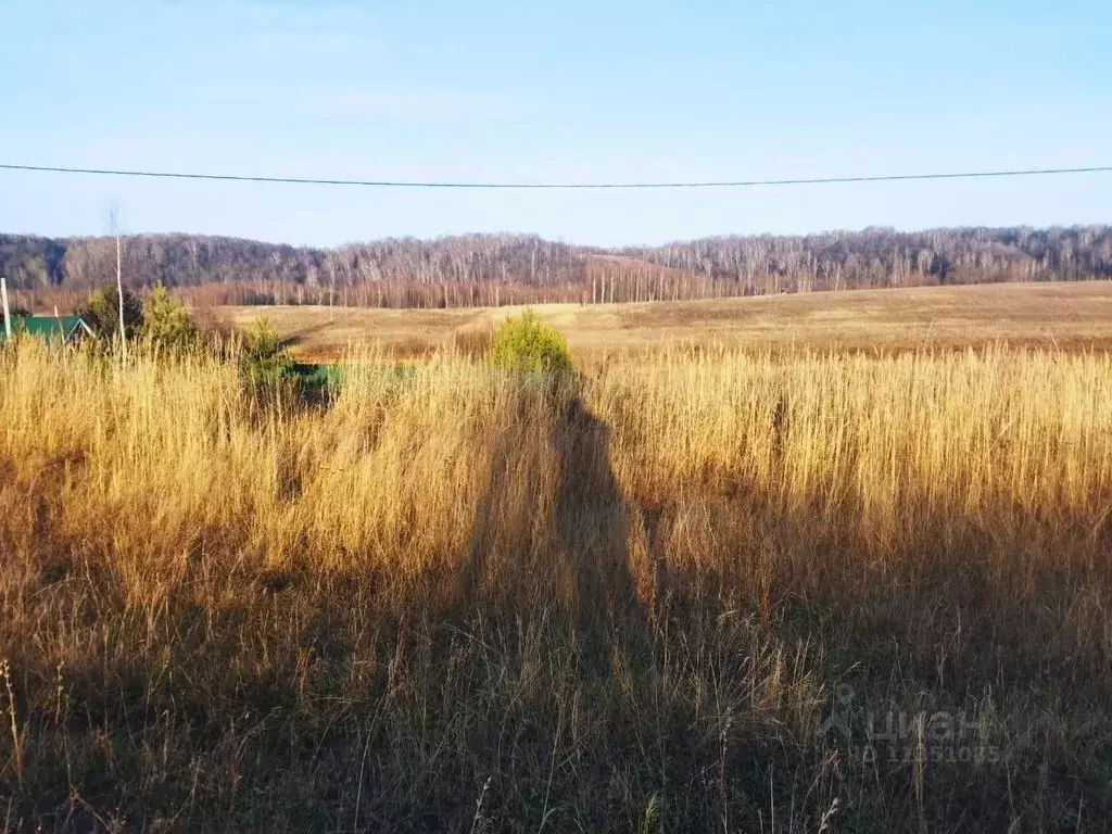 Участок в Чувашия, Моргаушский муниципальный округ, д. Максикасы ул. ... - Фото 0