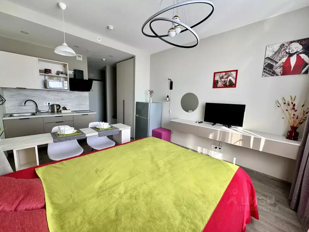 Студия Санкт-Петербург Витебский просп., 99к1 (27.0 м) - Фото 1