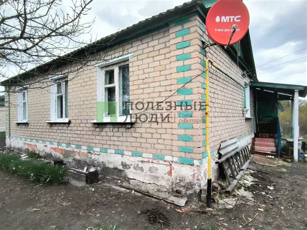 Дом в деревня Мураевка, Садовая улица, 13 (52.5 м) - Фото 1