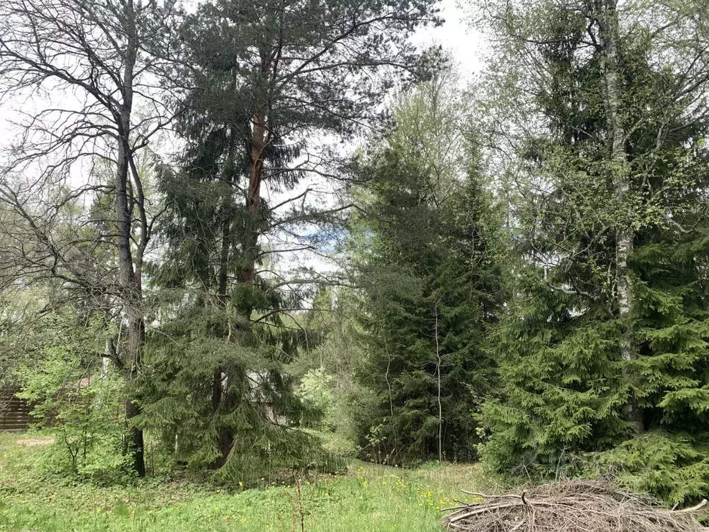 Дом в Московская область, Лобня Луговая мкр, ул. Чкалова, 32 (188 м) - Фото 2