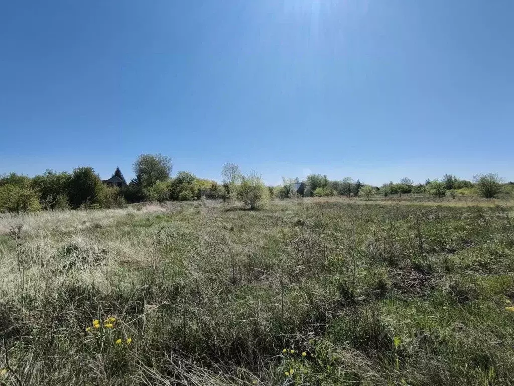 Участок в Воронежская область, Новоусманский район, с. Бабяково ... - Фото 0