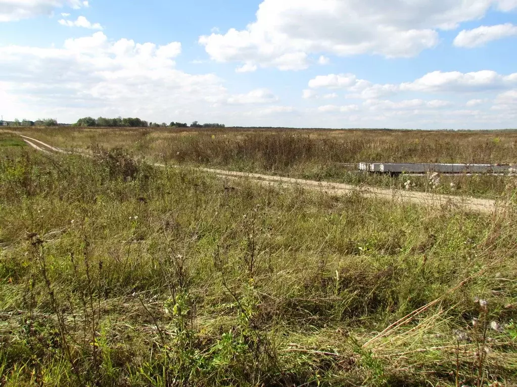Участок в Московская область, Коломна городской округ, с. Бояркино  ... - Фото 1