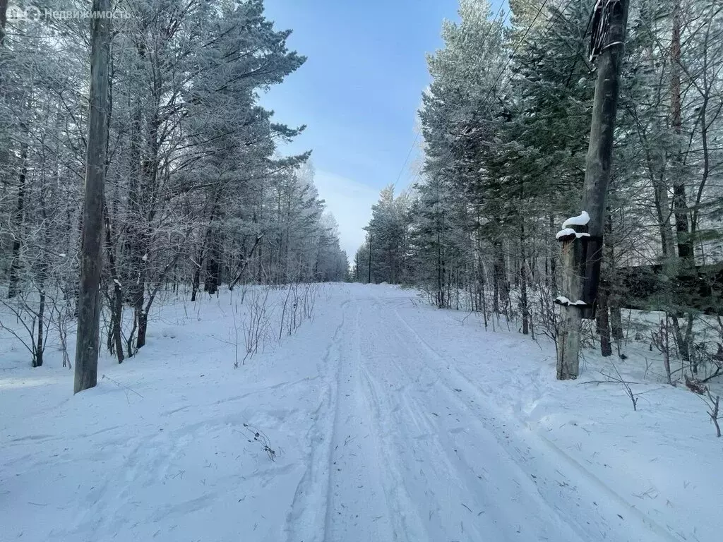 Участок в Иркутский муниципальный округ, Листвянское муниципальное ... - Фото 2