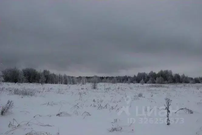 Участок в Московская область, Шаховская муниципальный округ, д. ... - Фото 1