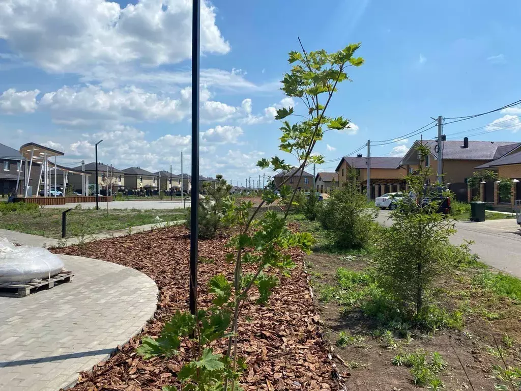 Участок в Оренбургская область, Оренбургский район, с. Ивановка, ... - Фото 2