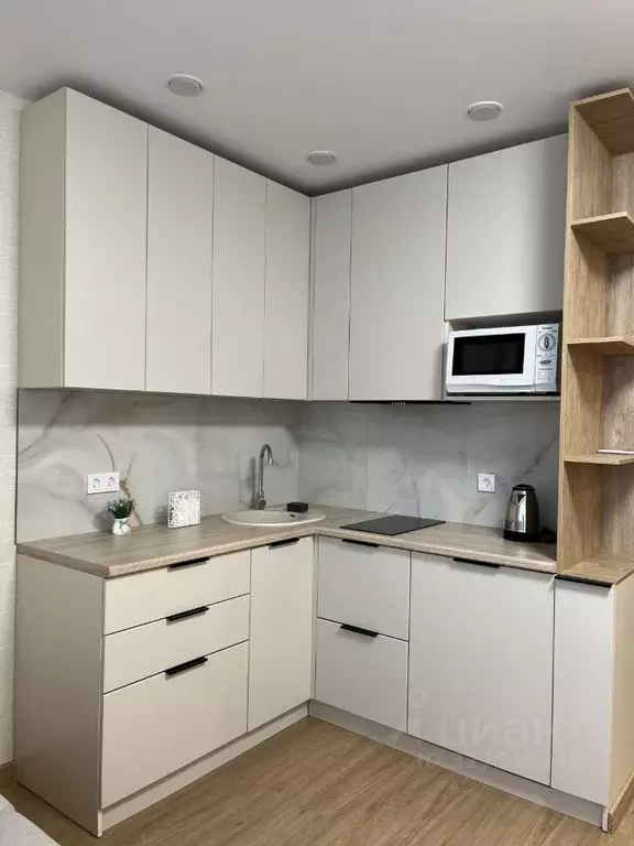 Студия Самарская область, Самара Революционная ул., 103А (33.0 м) - Фото 1