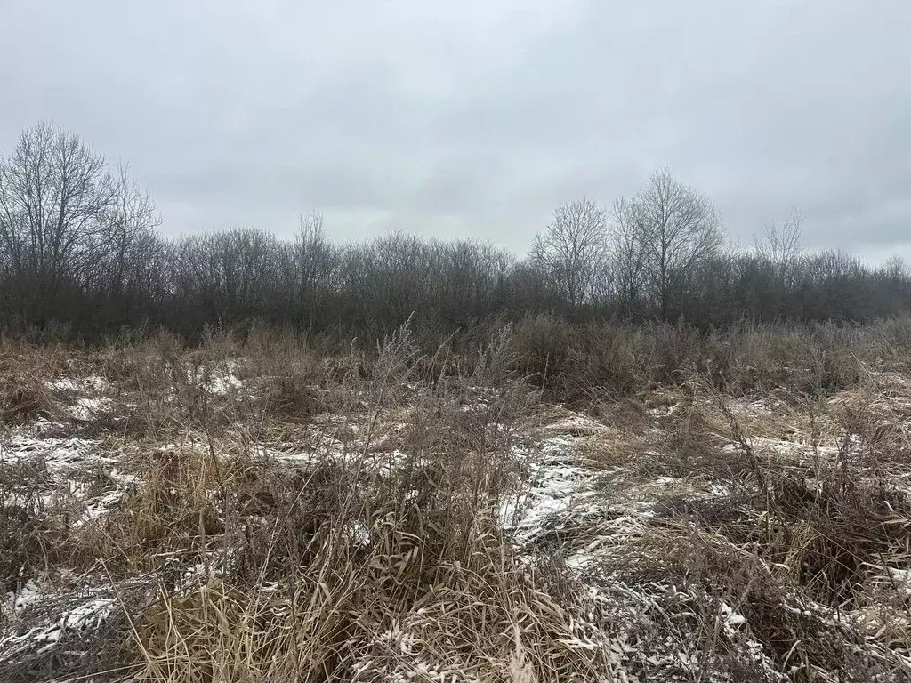 Участок в Московская область, Рузский муниципальный округ, д. ... - Фото 1