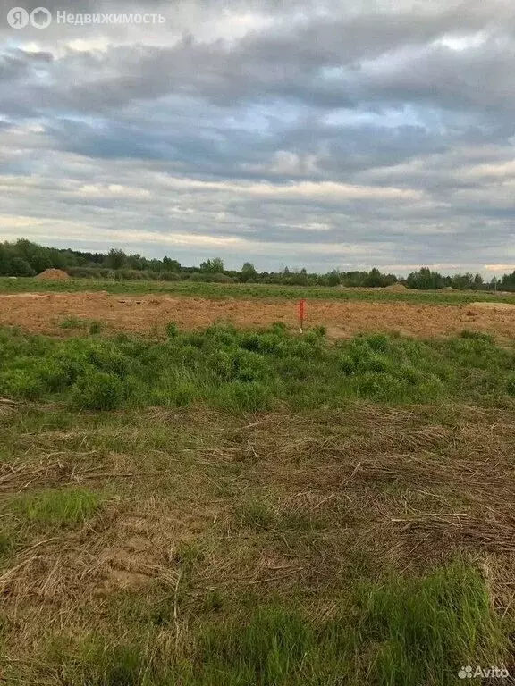 Участок в Нижегородская область, Бор (8 м) - Фото 0